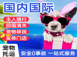 泉州航空空运国际宠物托运 【国